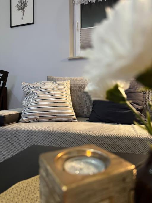 Danka 6Th Floor Chic Apartment Краков Экстерьер фото